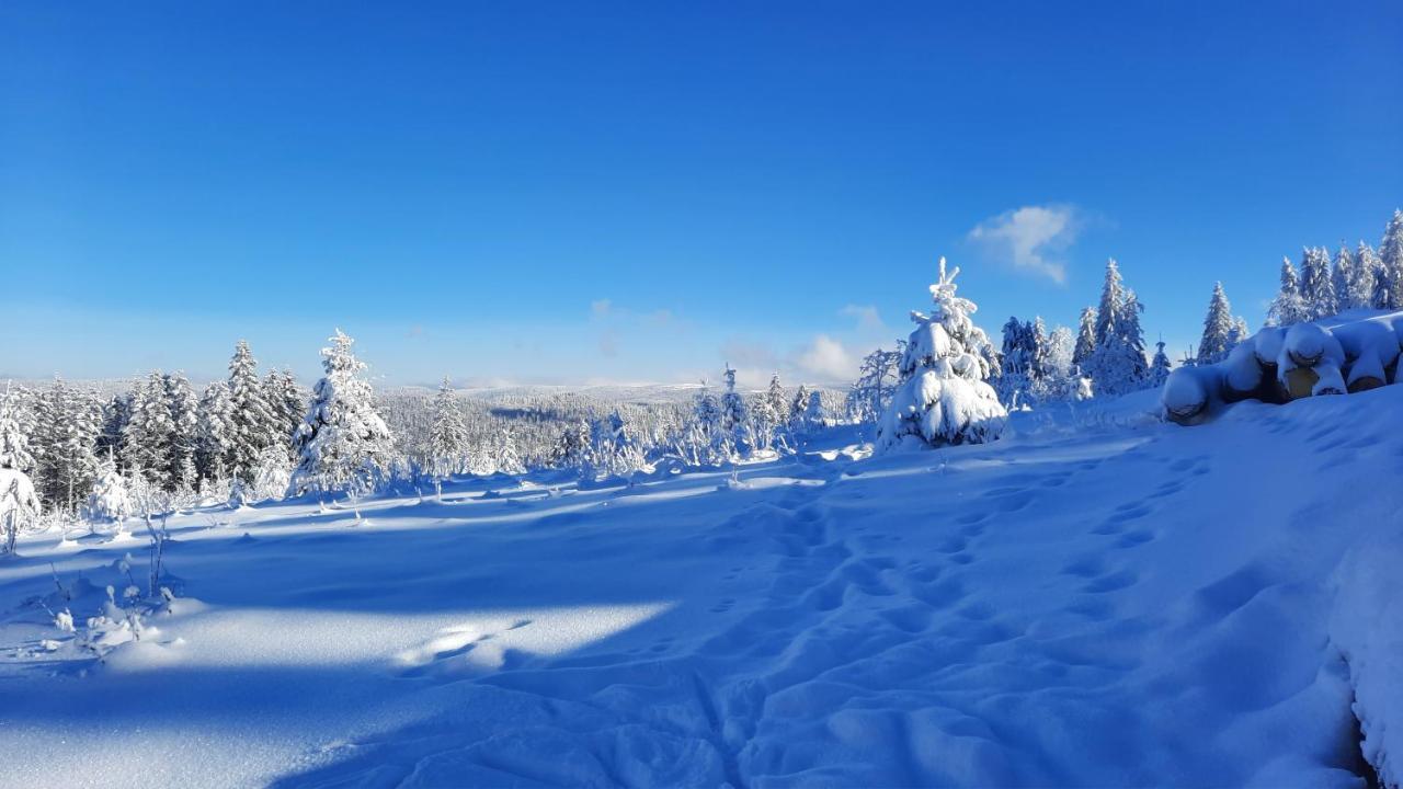 Les Dryades Gérardmer Kültér fotó
