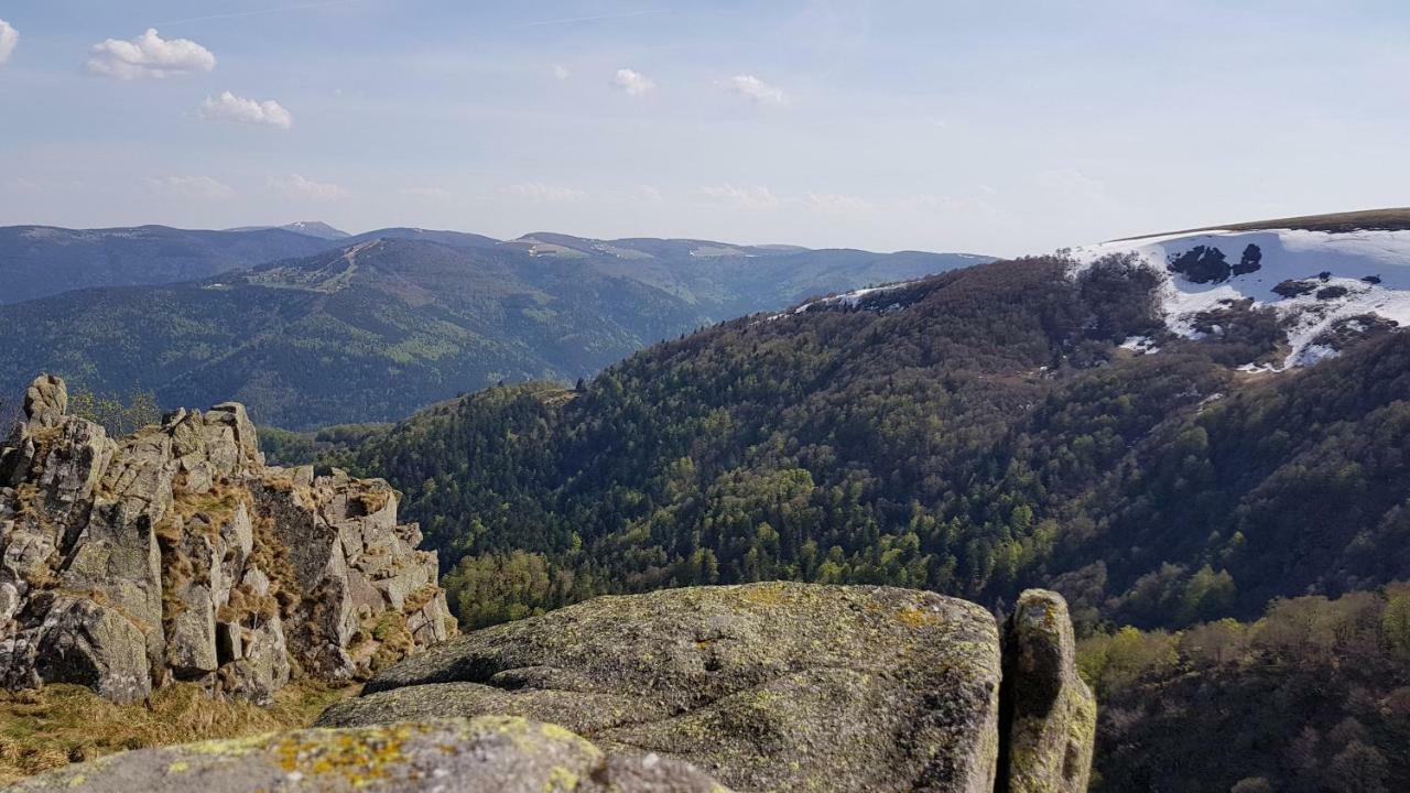 Les Dryades Gérardmer Kültér fotó