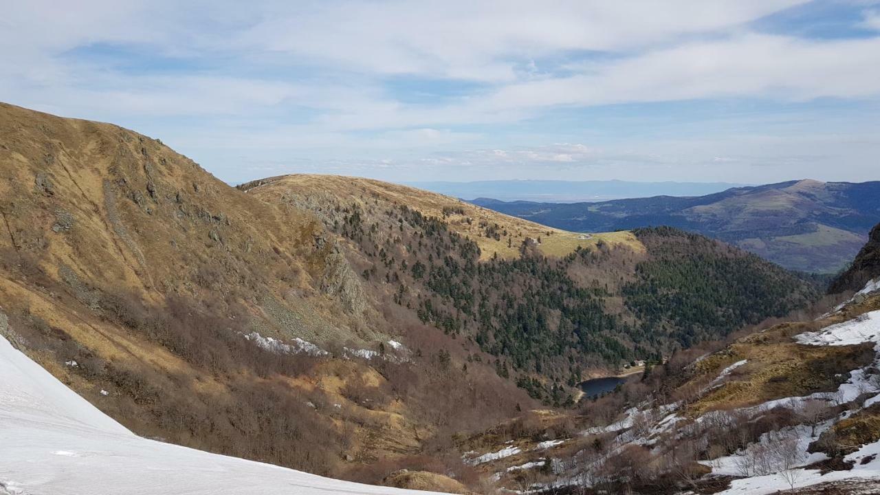 Les Dryades Gérardmer Kültér fotó