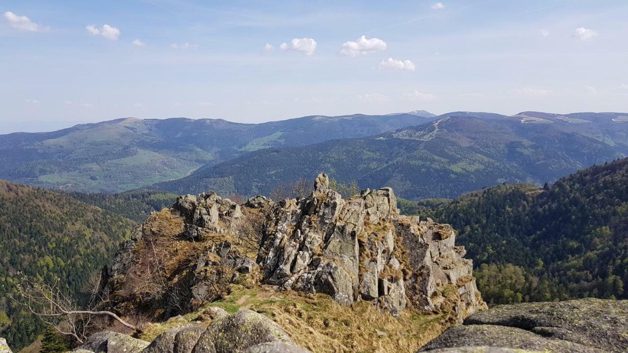 Les Dryades Gérardmer Kültér fotó